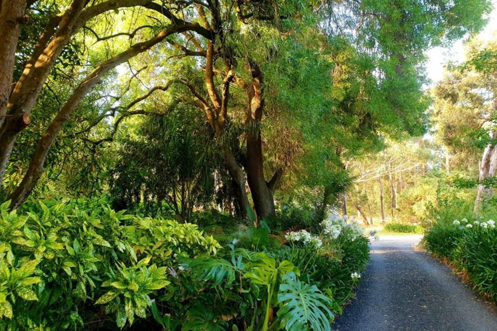 Bella Mia Tuscan Paradise * Mount Gambier